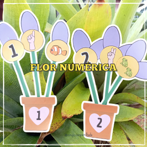 flor numérca